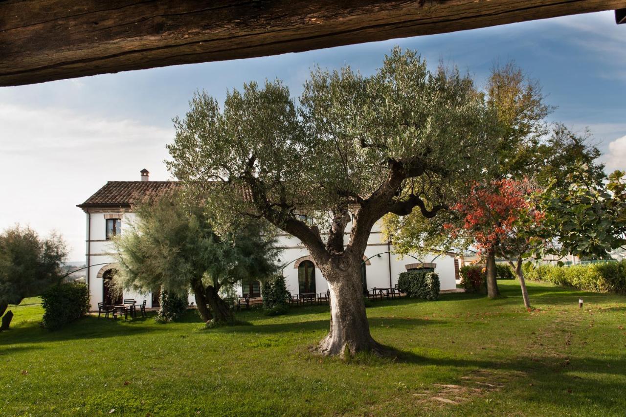 אוסימו Villa Coralia Agriturismo מראה חיצוני תמונה